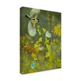 thumbnail image 2 of Trademark Fine Art 'Birding II' Canvas Art by Chariklia Zarris, 2 of 4