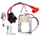 thumbnail image 1 of sweethay Reparación de motor de 49cc, 60cc, 80cc, bobina profesional, módulo de encendido electrónico portátil para bicicleta motorizada Accesorios para motos sweethay VI022389-00B, 1 of 6