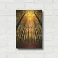 thumbnail image 3 of Luxe Metal Art 'Beginning of Autumn' by Philippe Sainte-Laudy, Metal Wall Art, 12"x16", 3 of 9