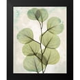 thumbnail image 2 of Koetsier, Albert 15x18 Black Modern Framed Museum Art Print Titled - Eucalyptus Stoned 2, 2 of 5