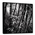 thumbnail image 2 of Designart "Monochromatic Forest Of Bamboo" Bamboo Floater Framed Canvas Art Print, 2 of 5