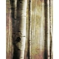 thumbnail image 2 of Villa, Milli 26x32 Gold Ornate Wood Framed with Double Matting Museum Art Print Titled - Burnt Birch Family 1, 2 of 4