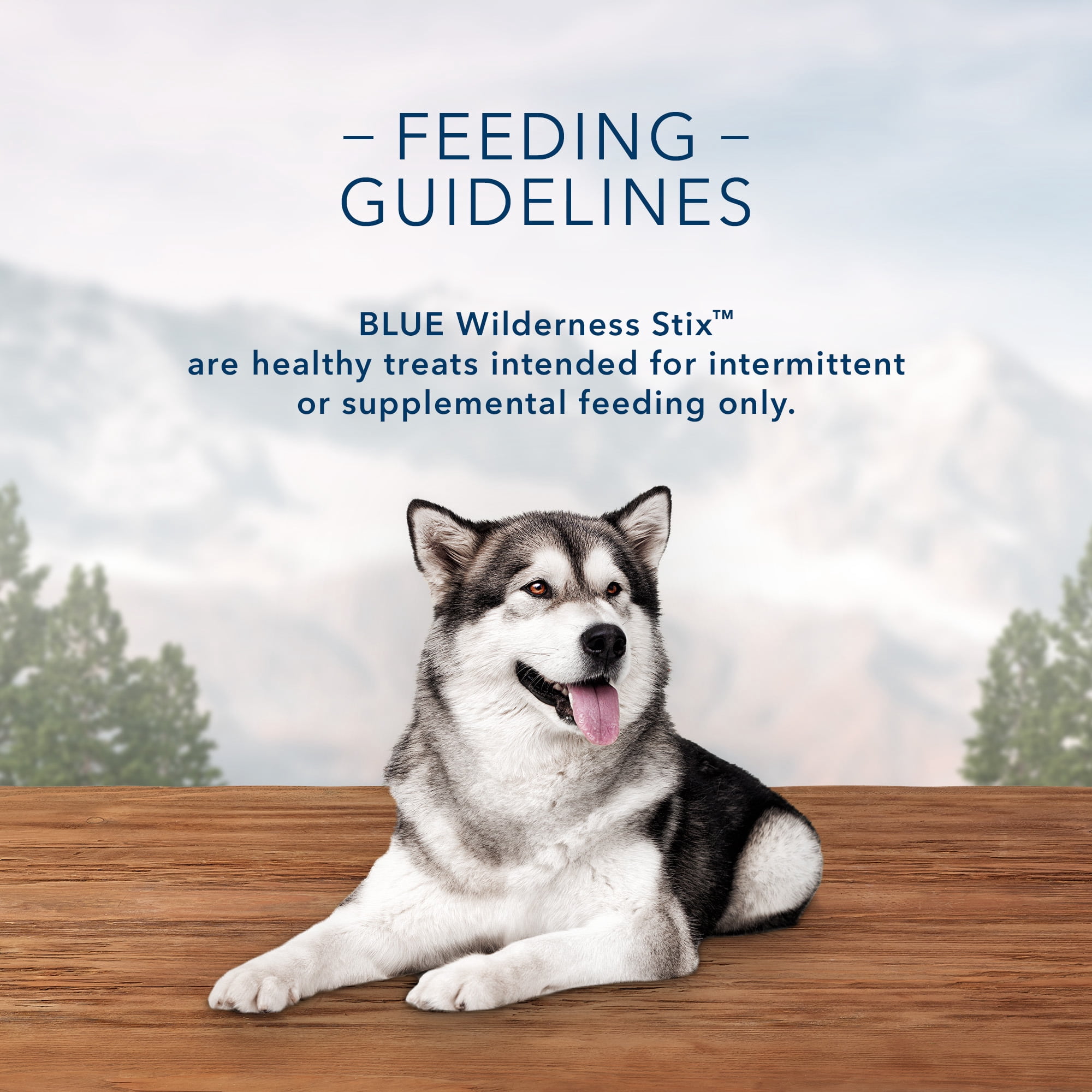 Blue Buffalo Wilderness Flatland Stix High Protein Turkey, Quail & Duck Flavor Soft Treats for Dogs, Grain-Free, 6 oz. Bag