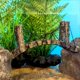 thumbnail image 2 of Acuario de SimulacióN, Adorno de Puente de Agua, Pecera, DecoracióN de Resina SintéTica, Adorno No TóXico, Accesorios para Acuario, 2 of 6