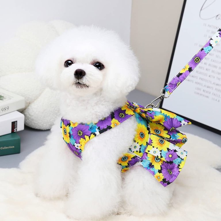 white christmas dresses Doggie Wedding Harness Dress Set – Gate Nine Boutique main image 0