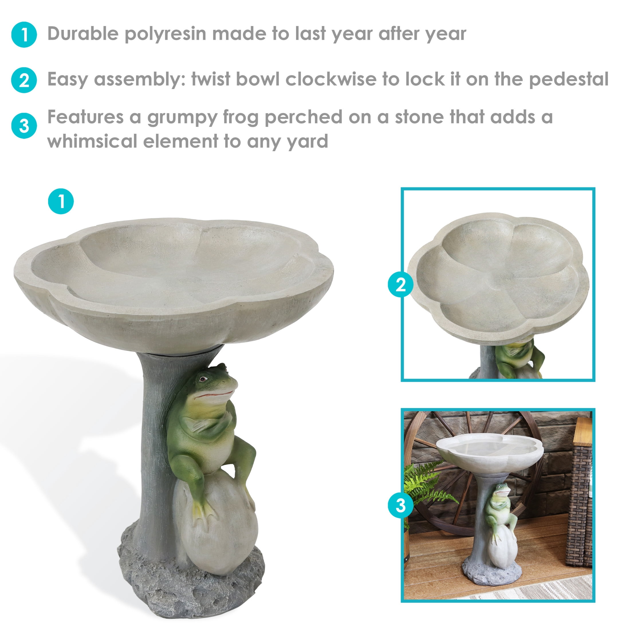 Sunnydaze Freestanding Polyresin Outdoor Bird Bath, Brooding Frog on a Stone
