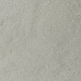 thumbnail image 4 of Recollections Extra Fine Polyester Glitter, 12 Pack, 4 of 4