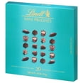 Mini Pralines, Assorted Chocolate Pralines with Premium Filling, 3.4 oz ...