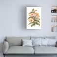 thumbnail image 3 of Unknown 'Flowering Hibiscus I' Canvas Art, 3 of 3