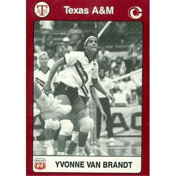 Carte à Collectionner Yvonne Van Brandt (Texas A&m) 1991 Collection Collégiale No.79 Volleyball