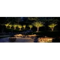 thumbnail image 4 of Dauer Zen Path Light on 18" Riser, G4 (NL), Professional Grade, 4 of 6