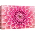 thumbnail image 1 of IDEA4WALL Canvas Wall Art Blooming Pink and Magenta Dahlia Pinnata Floral Flower Photography Realism Modern Closeup Colorful for Living Room, Bedroom, Office - 16"x24", 1 of 5