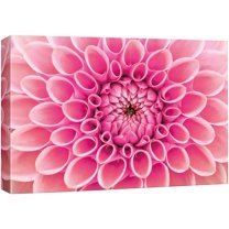 IDEA4WALL Canvas Wall Art Blooming Pink and Magenta Dahlia Pinnata Floral Flower Photography Realism Modern Closeup Colorful for Living Room, Bedroom, Office - 16"x24"