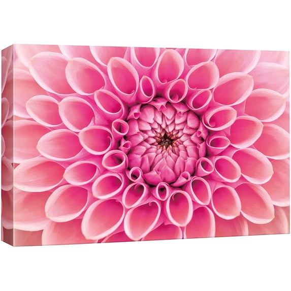 IDEA4WALL Canvas Wall Art Blooming Pink and Magenta Dahlia Pinnata Floral Flower Photography Realism Modern Closeup Colorful for Living Room, Bedroom, Office - 16"x24"