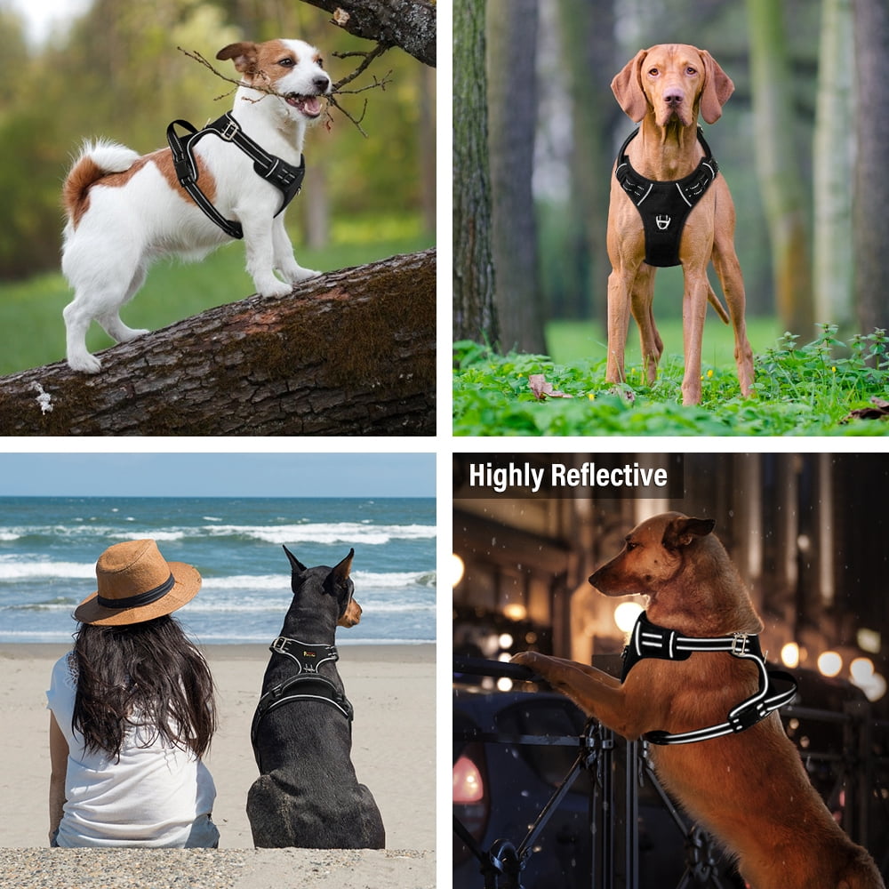 Plutus Pet No Pull Dog Harness, Release at Neck, Adjustable Reflective Dog Vest Harness, Soft Padded with Easy Control Handle, for Small Medium Large Dogs