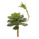 thumbnail image 1 of Simulación de plantas suculentas Cateissary decoración de flores verdes de plástico en maceta 3D, 1 of 6