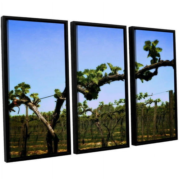 ArtWall Kevin Calkins "Spring Vineyard" 3-Piece Floater Framed Canvas Set