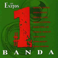 EXITOS #1: BANDA (803804000722)