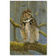 thumbnail image 1 of WGI-GALLERY Wooden Wall Art - Fearless Owl & Hummingbird - 16" x 24", 1 of 1