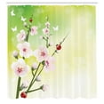 thumbnail image 3 of Ambesonne Floral Shower Curtain, Blossoms Ladybugs Spring, 69"Wx75"L, Green Pink, 3 of 5
