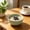 Green-GN, variant on MMJ Round Portable Bowl Lightweight Plastic Snack Salad Dessert Bowl for Picnic Travel Kitchen 5.79x5.79x2.91in