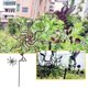 thumbnail image 5 of Viento en la terraza del jardín Escultura de viento grande de metal Arte decorativo para exteriores Estilo animal realista Molino de viento Molino de viento de verano y otoño, 5 of 8