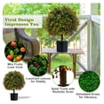 thumbnail image 3 of Beran7 22'' Artificial Boxwood Topiary Ball Tree, Set of 2 UV Resistant Faux Potted Plants Artificial Shrubs Bushes with Orange Fruits, Fake Evergreen Artificial Topiary for Home Front Porch Decor, 3 of 8