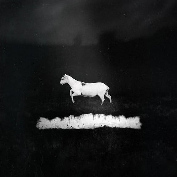 Les Discrets - Predateurs - Music & Performance - CD