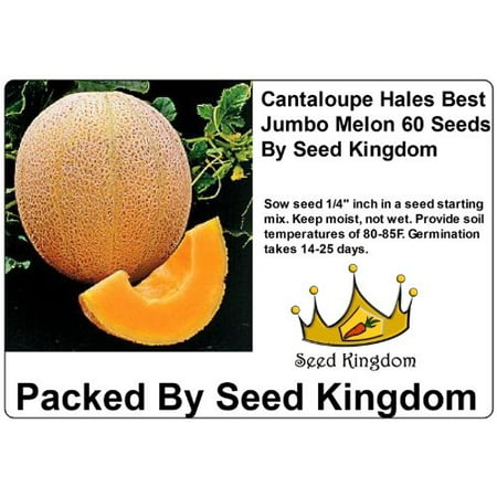 Cantaloupe Hales Best Jumbo Melon Great Heirloom Vegetable 60 Seeds By Seed (Best Vegetables To Plant)