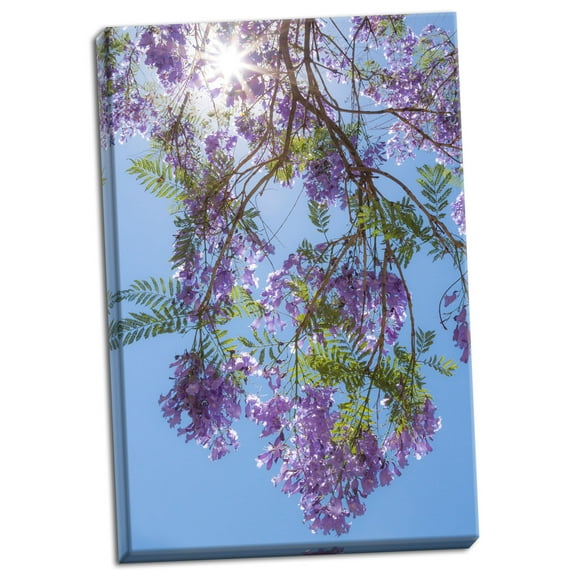 Gango Home Decor Jacaranda Tree II by Kathy Mahan (Ready to Hang); One 24x36in Hand-Stretched Canvas