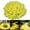Yellow, variant on YingYouFu 150PC Luminous Garden Pebbles for Aquarium, Glow In Dark Polished Stones for Vase, Fluorescent Decorative Rocks for Fish Tank Pathway Terrarium