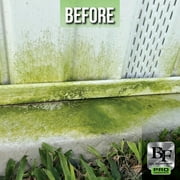 BLACKFIRE Pro Concentrate Instant Mildew Stain Remover Spray