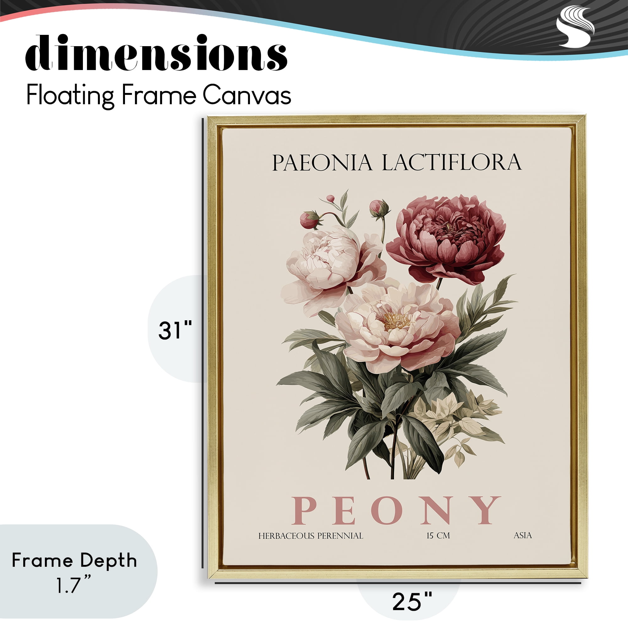 Stupell Industries Natural Peony Bundle Gold Framed Floater Canvas Wall Art, design by Christopher Giampietro