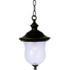 Hardware House Outdoor Hanging Coach Lantern with Classic Bronze Finish and Seedy Glass Shade