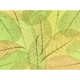 thumbnail image 2 of Mahan, Kathy 18x15 Black Ornate Wood Framed with Double Matting Museum Art Print Titled - Leaf Collage I, 2 of 4