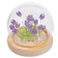 thumbnail image 1 of unbranded 1Jgo De Con Artificiales Y Cristal Para Y Tenue, 1 of 7