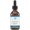 Native Remedies Sweat-Less - Natural Homeopathic Formula for Excessive Sweating, Perspiration and Clamminess - 59 mL