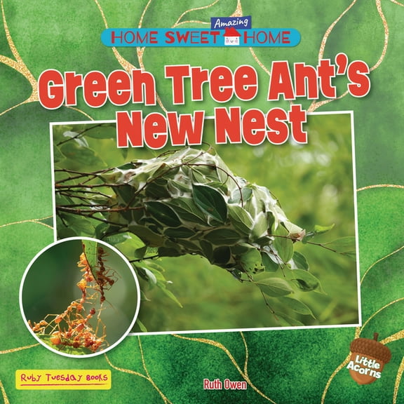 Home Sweet Amazing Home (Little Acorns) Green Tree Ant's New Nest, (Paperback)