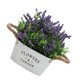 thumbnail image 4 of Flor artificial simple Sala de estar Maceta falsa Flor de simulación decorativa Noticed HA8802-00B, 4 of 6