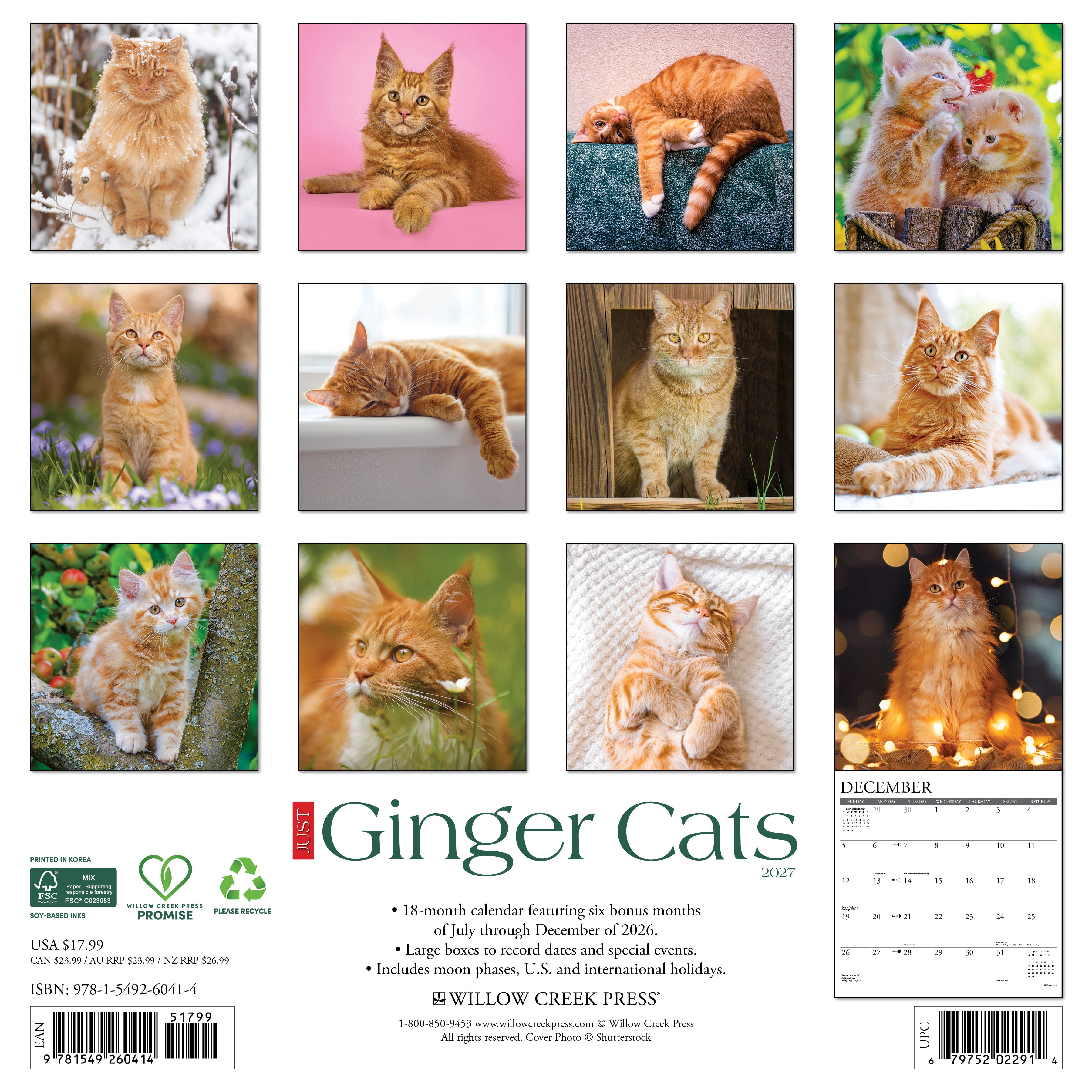 Willow Creek Press, Ginger Cats 2027 Wall Calendar