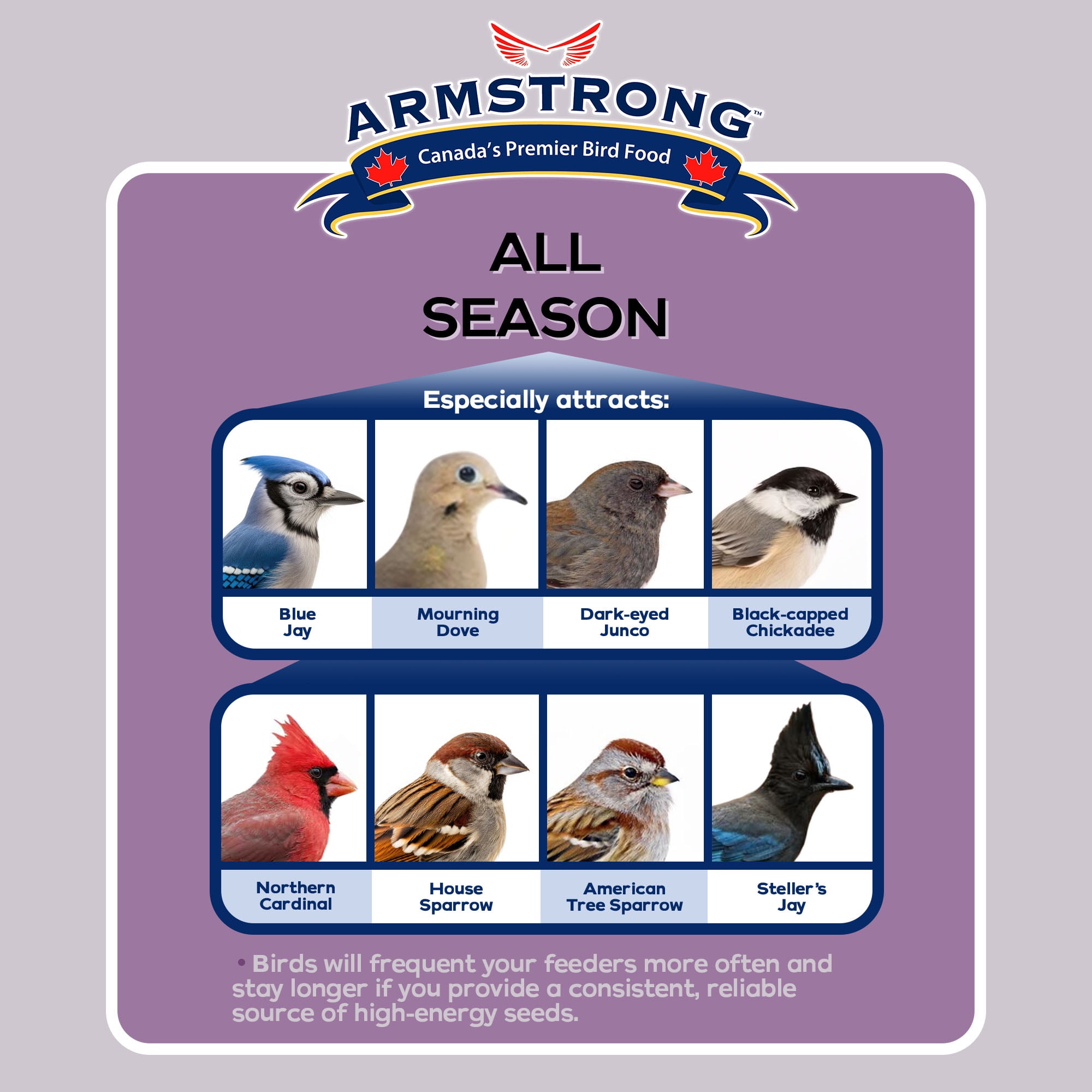 Armstrong Wild Bird Food All Season Blend, 40 Pounds - with Cut Corn, Wheat, White Millet and Black Oil Sunflower Seeds for Blue Jays, Dark-Eyed Juncos and Mourning Doves