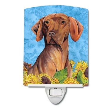 Caroline's Treasures SC9079CNL Vizsla in Summer Flowers Ceramic Night Light, 6x4x3", multicolor