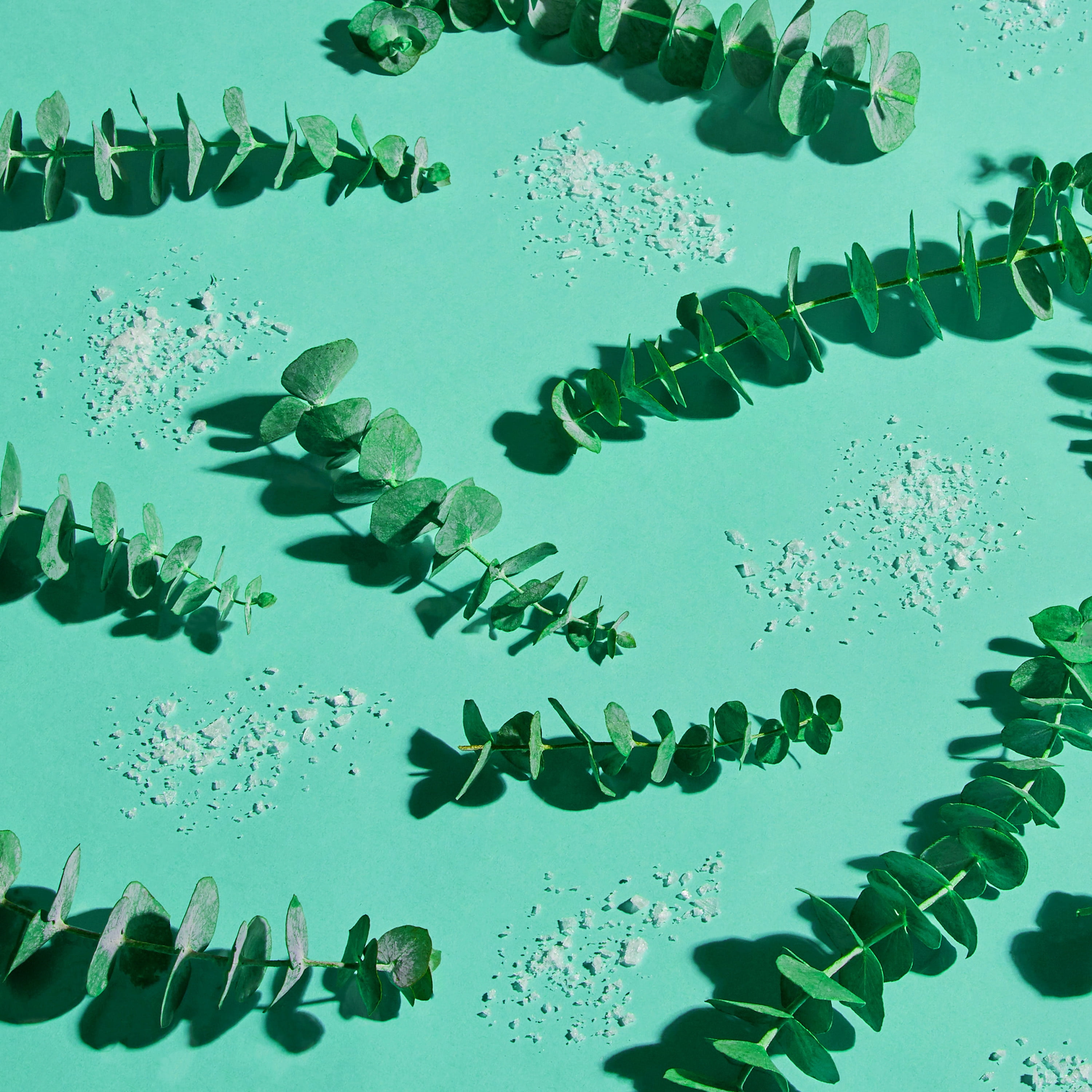 SS THERAPY EUC&SALT - FRENCH