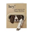 thumbnail image 1 of Interesting Dog Birthday Card: Pet Theme Birthday Greeting Card, 1 of 9