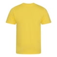thumbnail image 2 of Ecologie Mens Cascades T-Shirt, 2 of 3