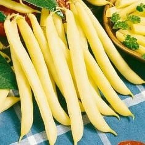 Bush Bean Cherokee - 1 Packet