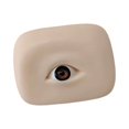 thumbnail image 1 of Xuanheng Silicone Eyes Model with Eyeball Practice Lightweight Brown Right, 1 of 6