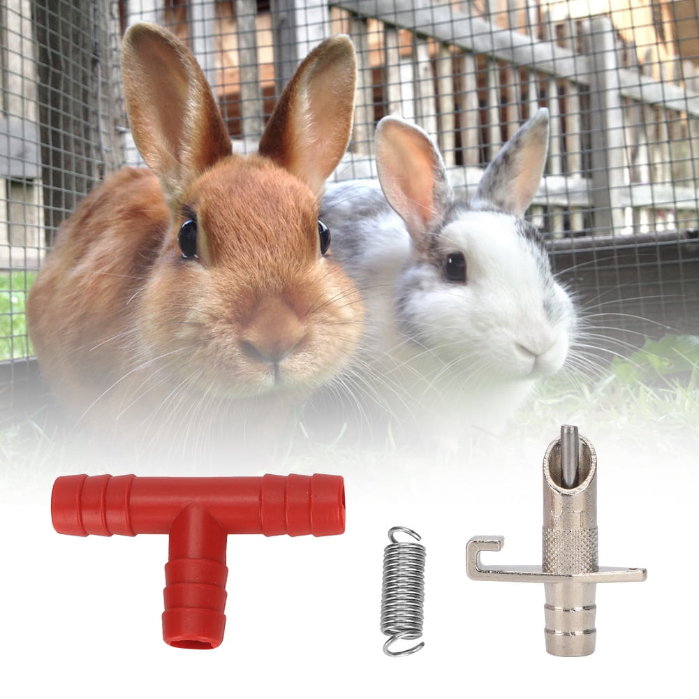 walmart rabbit supplies