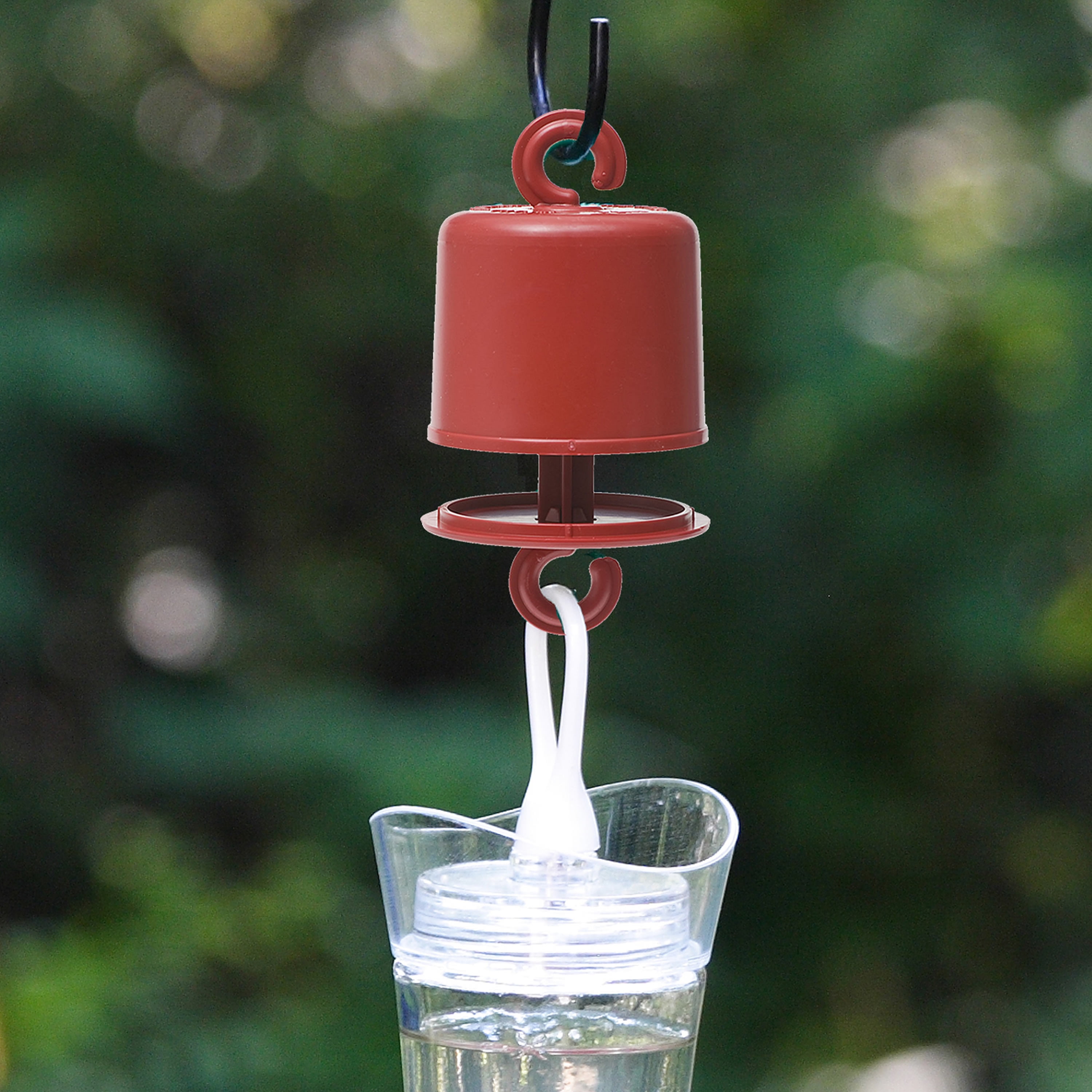 (2 pack) Perky-Pet Ant Guard Plus for Hummingbird Feeders, Red, Prevent Ants from Eating Nectar, 1 Pack