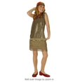 thumbnail image 1 of RG Costumes 91148-GBK-S Sequin Flapper Small Child - Gold, 1 of 1